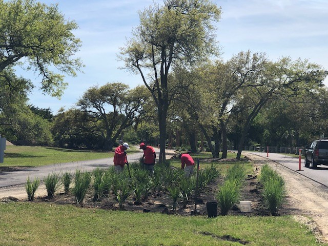 Landscaping begins along DeBordieu Blvd. – April 22, 2019